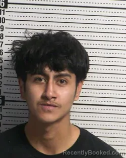 Booking photo from Dona Ana County, New Mexico