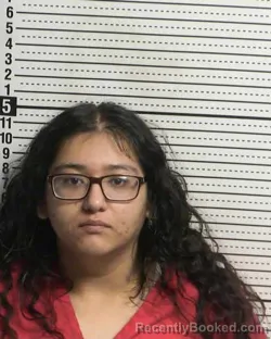 Mugshot of DAHLIA AGUIRRE BELTRAN