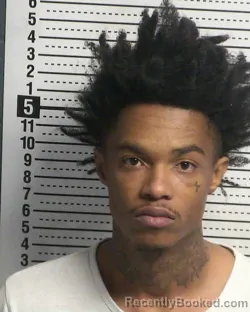 Mugshot of GORDON MARVON