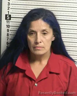 Mugshot of YVONNE ESTRADA