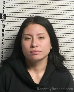 Mugshot of LINDZEE GABRIELLE PAZ
