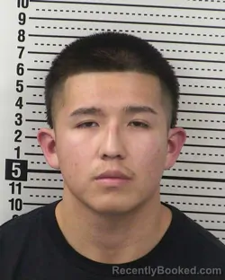 Mugshot of ROBERT ANTHONY LUJAN