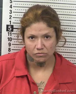 Mugshot of YOLLIMA FIERRO