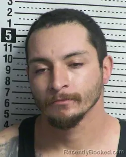 Mugshot of VICTOR FERNANDO SINGH