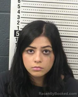Mugshot of CLARIZA NIKOLE VENTURA