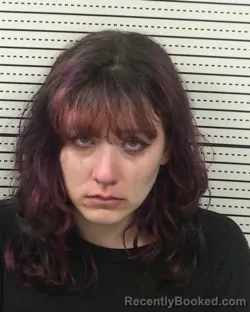 Mugshot of MARIE YVETTE APODACA