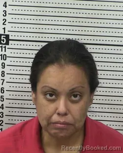 Mugshot of BERTHA ARACELI PEREZ
