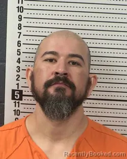 Mugshot of DANIEL FLORES