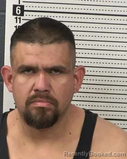 Mugshot of HANZEL ALANIZ