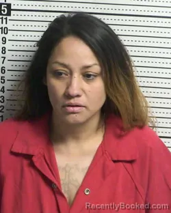 Mugshot of ELIZABETH RAMOS