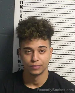 Mugshot of MAHMOUD MOHAMED MARRO HUSSEIN