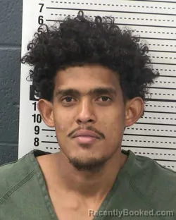 Mugshot of DAVID BALDALLO-MEDINA