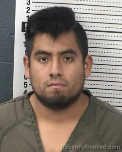 Mugshot of FERNANDO GUADALUPE-MARTINEZ