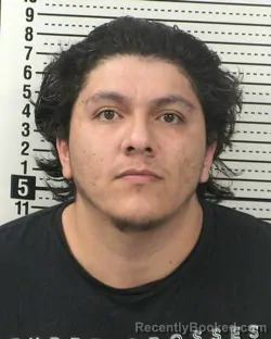 Mugshot of MARCOS ALVARADO