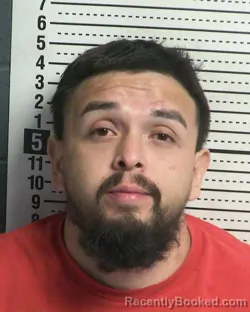 Mugshot of LUIS CARLOS