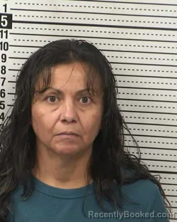 Mugshot of CAROLINA MARTINEZ