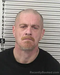 Mugshot of TROY D HALL