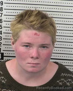 Mugshot of DAISY MARIE FOLK
