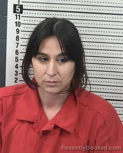 Mugshot of THERESA RODRIGUEZ