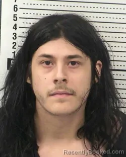 Mugshot of ALEXZANDER CARDENAS