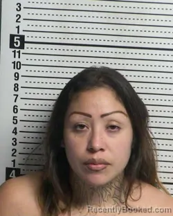 Mugshot of WENDY N PINEDO booked in Dona Ana County, New Mexico on March 3, 2026