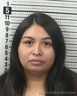 Mugshot of EDITH HERNANDEZ-RIVERA booked in Dona Ana County, New Mexico on March 3, 2026