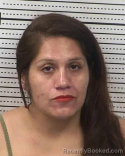 Mugshot of HOPE CHRISTINE SALAS booked in Dona Ana County, New Mexico on March 3, 2026