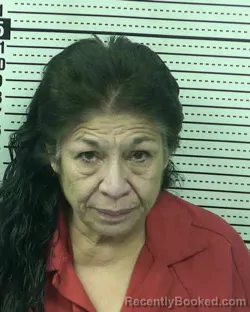 Mugshot of BERTHA PARRA CHAVEZ booked in Dona Ana County, New Mexico on March 4, 2026