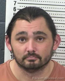 Mugshot of ROBERT M LEWIS booked in Dona Ana County, New Mexico on March 4, 2026