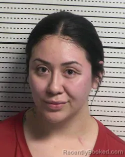 Mugshot of ELIZABETH GUTIERREZ booked in Dona Ana County, New Mexico on March 5, 2026