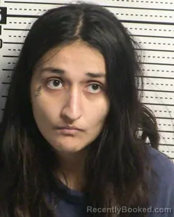 Mugshot of DESTINEE MARIE SAUCEDO booked in Dona Ana County, New Mexico on March 5, 2026