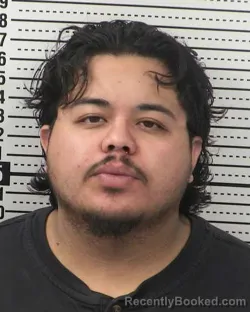 Mugshot of RUDY ALEXANDER CASTRO booked in Dona Ana County, New Mexico on March 5, 2026