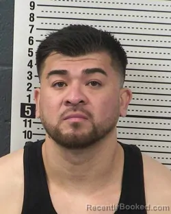 Mugshot of LUIS JAVIER COBOS booked in Dona Ana County, New Mexico on March 6, 2026