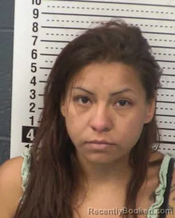 Mugshot of VICTORIA REBECCA DOMINGUEZ booked in Dona Ana County, New Mexico on March 6, 2026