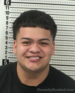 Mugshot of JONATHAN DAVID OCHOA booked in Dona Ana County, New Mexico on March 8, 2026