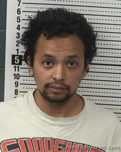 Mugshot of LUIS O CASTILLO booked in Dona Ana County, New Mexico on March 8, 2026