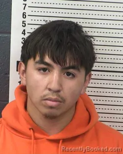 Mugshot of DAVION MATTHEW HEIN