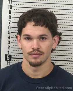Mugshot of DAVID ALEXZANDER PANDO