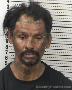 Mugshot of JOSE ANTONIO PEREZ