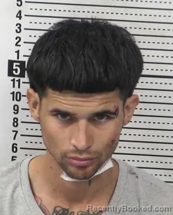 Mugshot of NESTOR URRUTIA