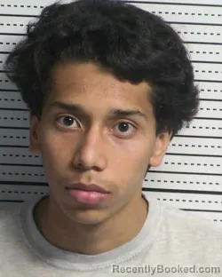 Mugshot of O'QUINN P PURVIS booked in Dona Ana County, New Mexico on March 10, 2026