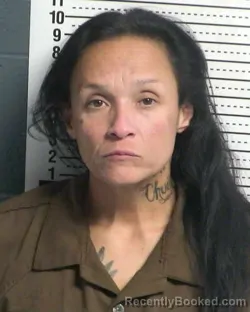 Mugshot of CHAYNA HOLGUIN booked in Dona Ana County, New Mexico on March 10, 2026