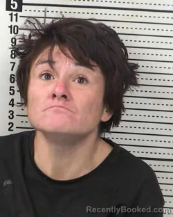 Mugshot of JESSICA COLLINS booked in Dona Ana County, New Mexico on March 11, 2026