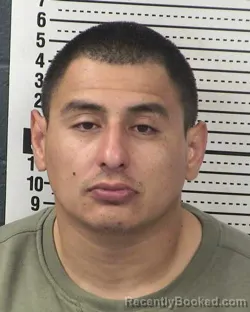 Mugshot of SERGIO GONZALES booked in Dona Ana County, New Mexico on March 11, 2026