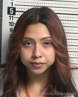 Mugshot of DESTINIE RENEE CHAVEZ booked in Dona Ana County, New Mexico on March 12, 2026