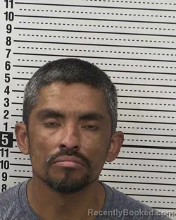 Mugshot of FELIPE A MOLINA booked in Dona Ana County, New Mexico on March 12, 2026