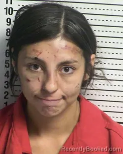 Mugshot of VERONICA LOZOYA booked in Dona Ana County, New Mexico on March 13, 2026