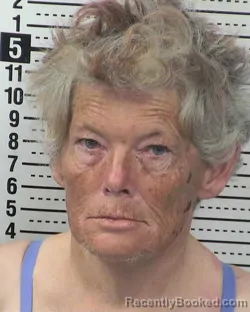 Mugshot of JESSICA JAMES booked in Dona Ana County, New Mexico on March 14, 2026