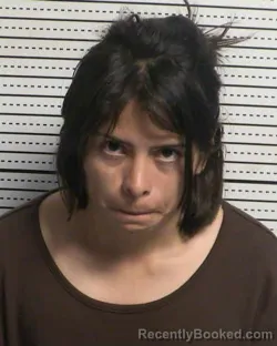 Mugshot of JOANA VAZQUEZ-OLVERA booked in Dona Ana County, New Mexico on March 14, 2026