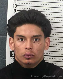 Mugshot of SHAI ALVA